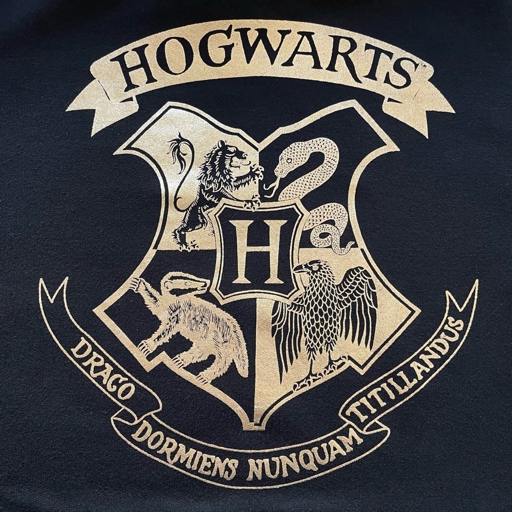 Harry Potter Hogwarts Black Hoodie with High Neck, Size Small - Picture 7 of 10